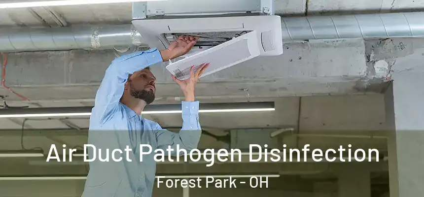Air Duct Pathogen Disinfection Forest Park - OH