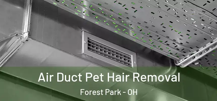 Air Duct Pet Hair Removal Forest Park - OH