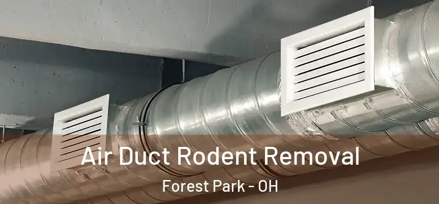 Air Duct Rodent Removal Forest Park - OH