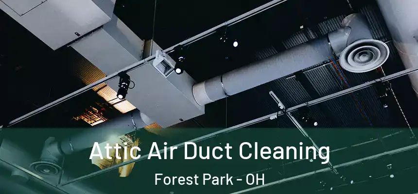 Attic Air Duct Cleaning Forest Park - OH