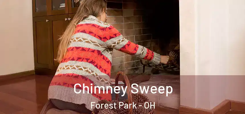 Chimney Sweep Forest Park - OH