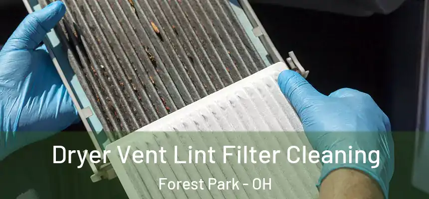 Dryer Vent Lint Filter Cleaning Forest Park - OH