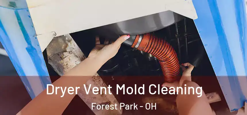 Dryer Vent Mold Cleaning Forest Park - OH