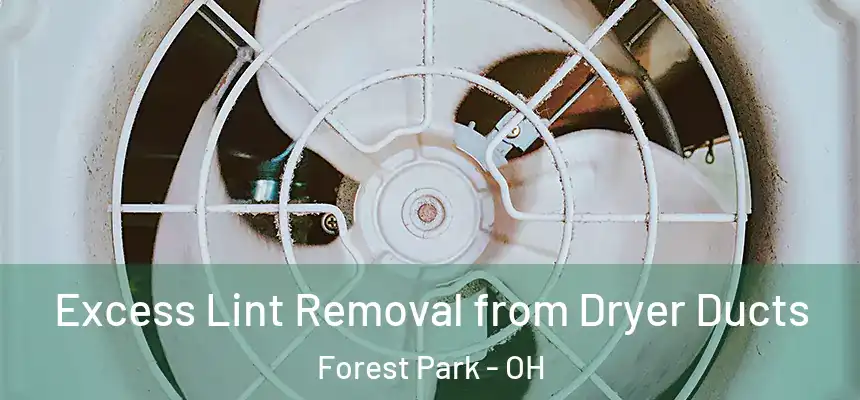 Excess Lint Removal from Dryer Ducts Forest Park - OH