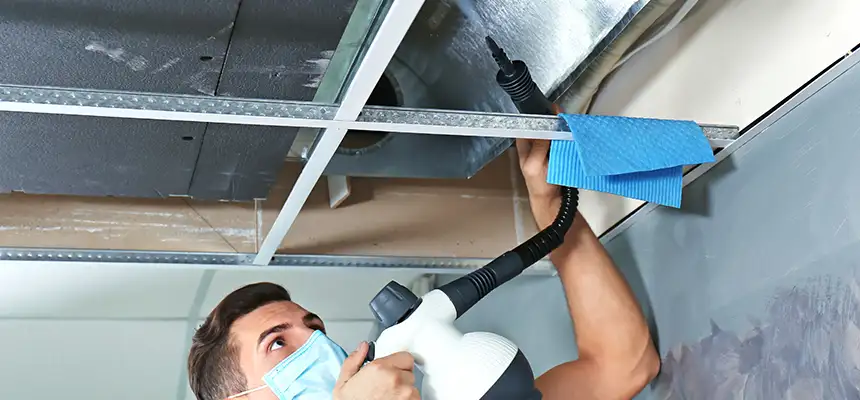 Our Air Duct Rodent Removal Services in Forest Park, OH