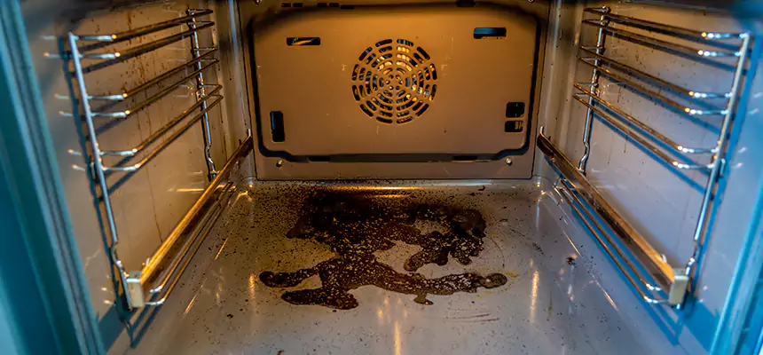 Our Dryer Vent Mold Cleaning Services in Forest Park, OH