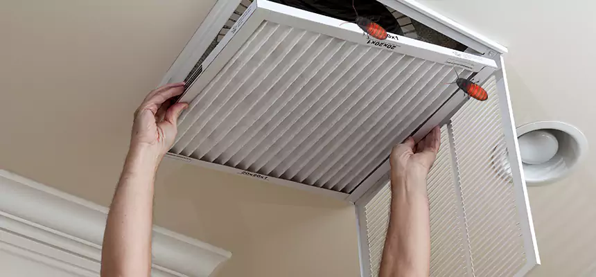 Our Insect Removal from Air Ducts Services in Forest Park, OH