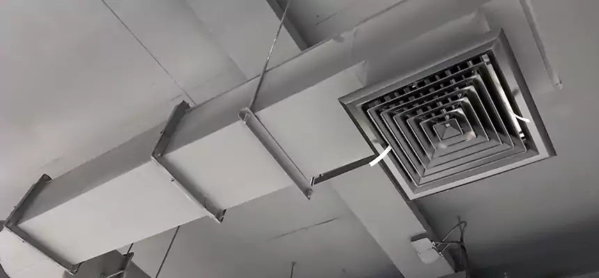 Our Pest Removal From Ducts Services in Forest Park, OH