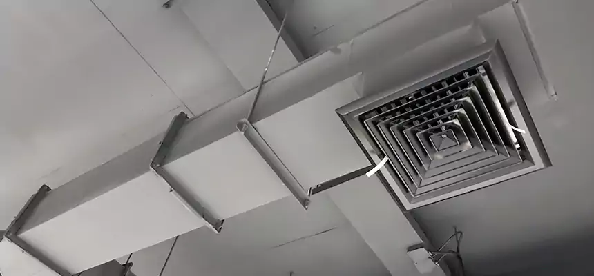 Our Rodent Droppings In Vents Services in Forest Park, OH