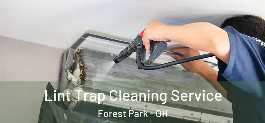 Lint Trap Cleaning Service Forest Park - OH