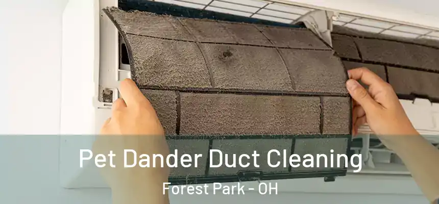  Pet Dander Duct Cleaning Forest Park - OH
