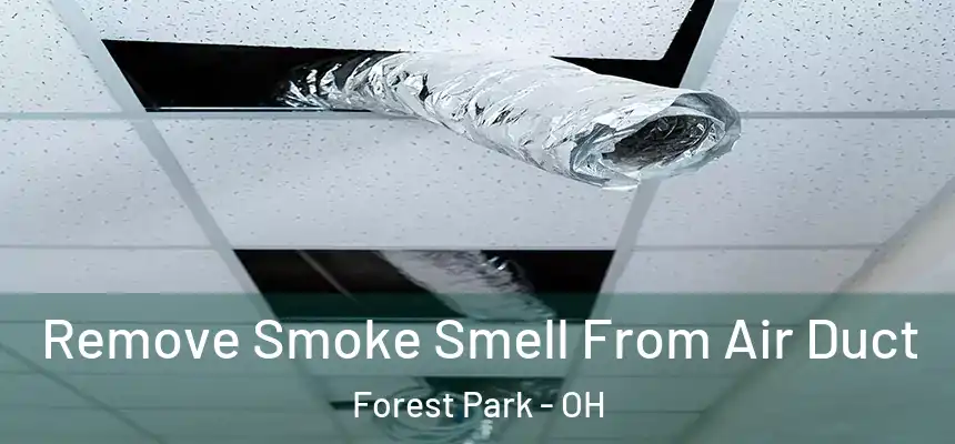 Remove Smoke Smell From Air Duct Forest Park - OH