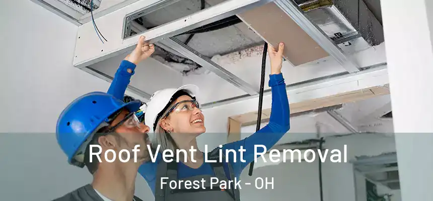  Roof Vent Lint Removal Forest Park - OH