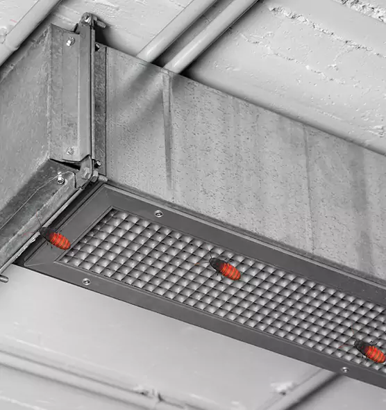 About Air Duct Cockroach Removal in Forest Park, OH