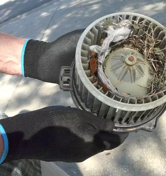 About Air Duct Mice Removal in Forest Park, OH