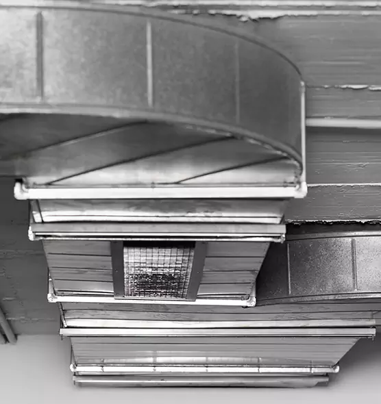 Professional Air Duct Pet Hair Removal in Forest Park, OH