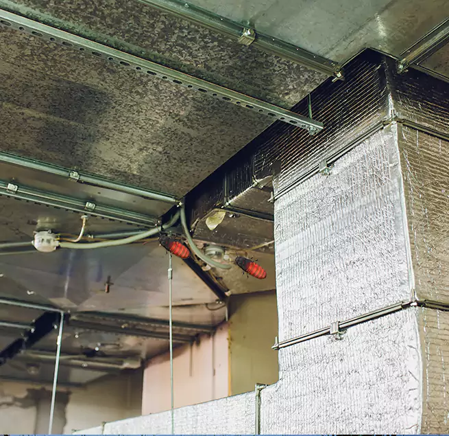 Why Homeowners & Businesses Trust Us in Forest Park, OH?