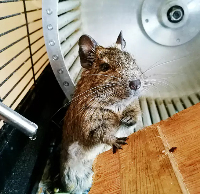 Why Homeowners & Businesses Trust Us Forest Park, OH?