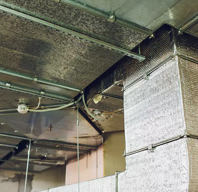 Why Homeowners & Businesses Trust Us in Forest Park, OH?